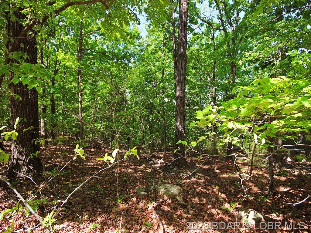 TBD Woods Drive Stover, MO 65078
