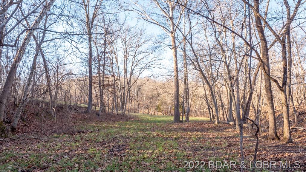 471 Toby Springs Dr Roach, MO 65787