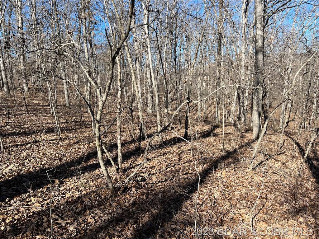 8 Acres Forest Drive Versailles, MO 65084