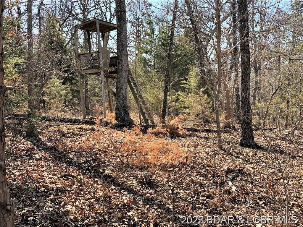 Lot 10 Forest Trails Road Roach, MO 65787