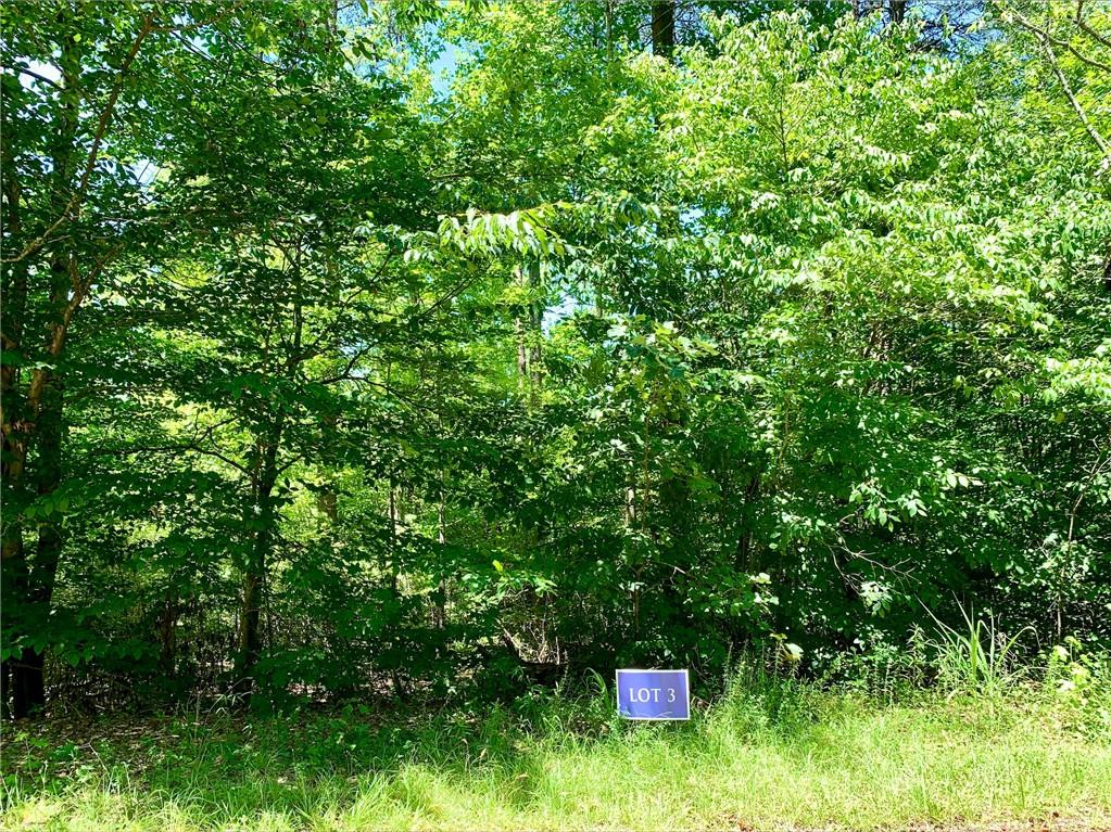 Springview Drive UNIT Lot #17 Westminster, SC 29693