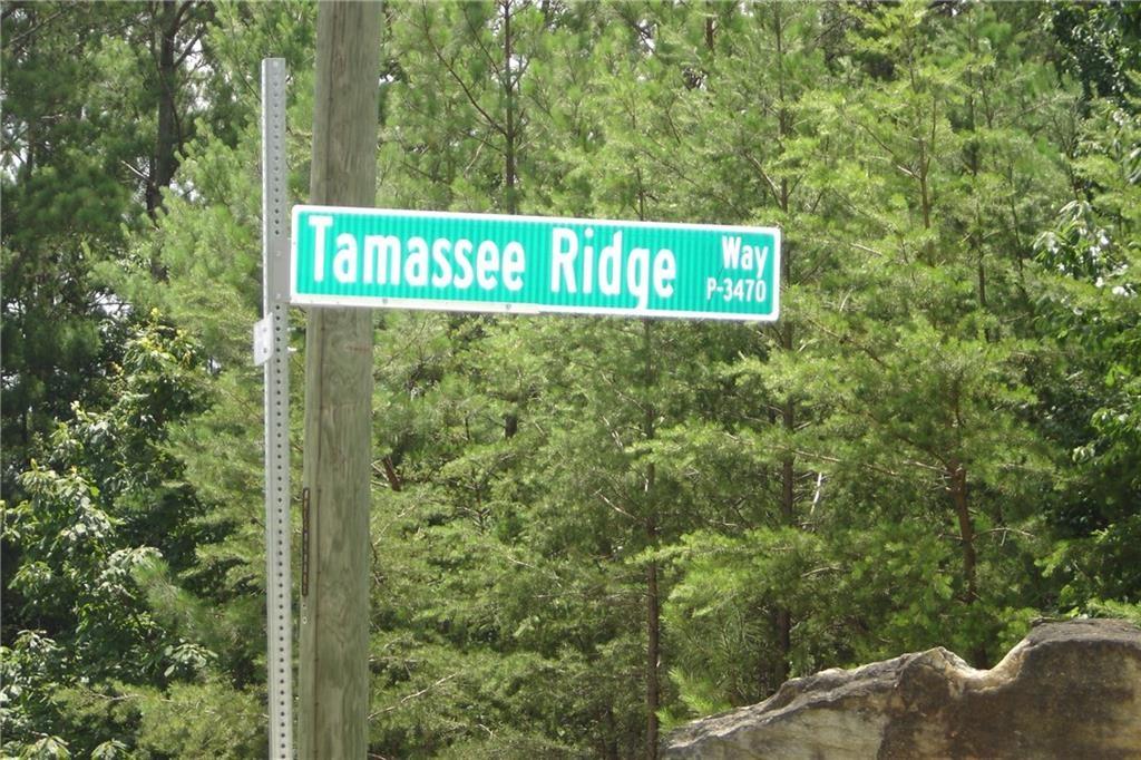 37 Tamassee Ridge Way Salem, SC 29676