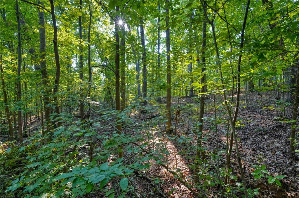 Bayberry Lane UNIT lot 1624 Westminster, SC 29693
