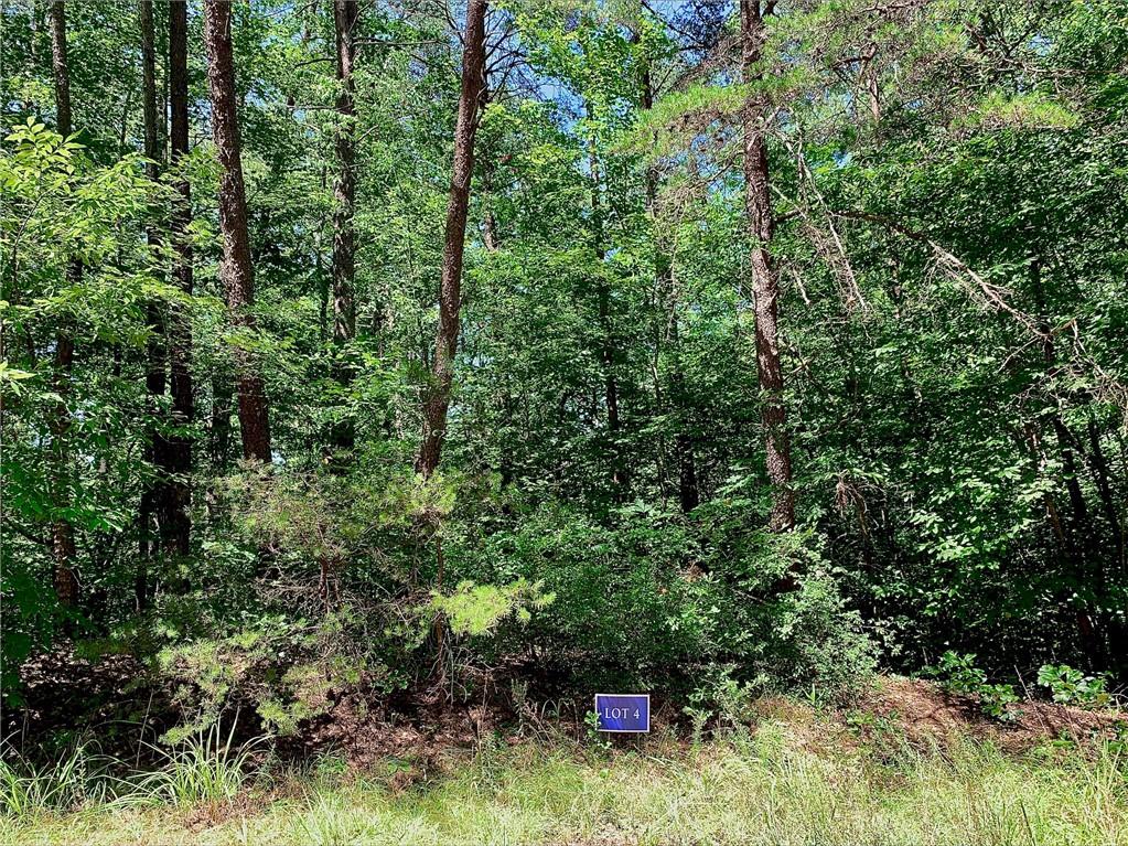 Springview Drive UNIT Lot #16 Westminster, SC 29693