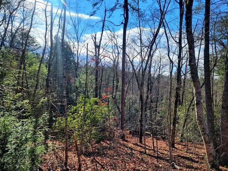 13 Right Branch Mountain Rest, SC 29664