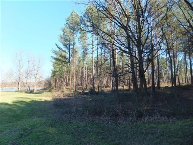 68 Acres- Ramage Road Townville, SC 29689